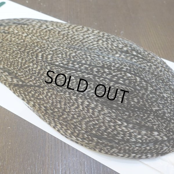 画像4: 【WHITING】Hebert ROOSTER CAPE Bronze Grade - Grizzly variant No.4 (4)