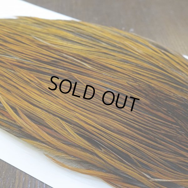 画像4: 【WHITING】Hebert ROOSTER CAPE Bronze grade - Furnace No.1 (4)