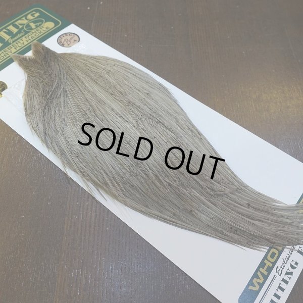 画像2: 【WHITING】Hebert ROOSTER CAPE Bronze Grade - LIGHT GREY DUN No.1 (2)