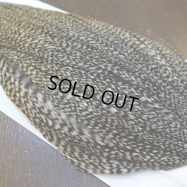 画像4: 【WHITING】Hebert ROOSTER CAPE Bronze Grade - Grizzly variant No.2 (4)