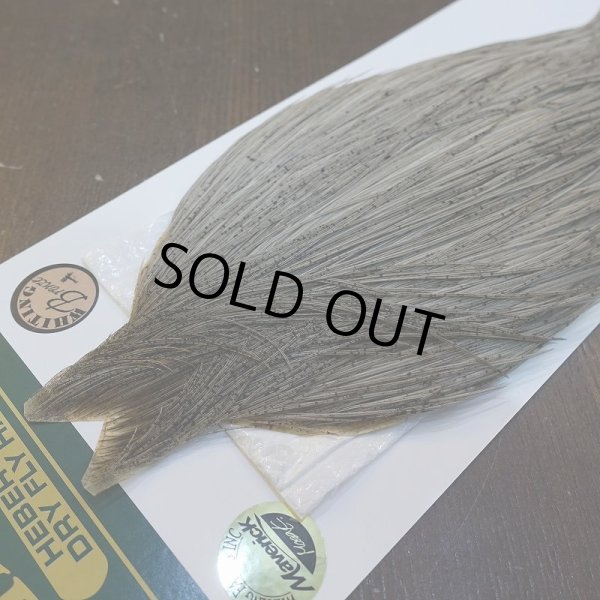 画像3: 【WHITING】Hebert ROOSTER CAPE Bronze Grade - LIGHT GREY DUN No.1 (3)