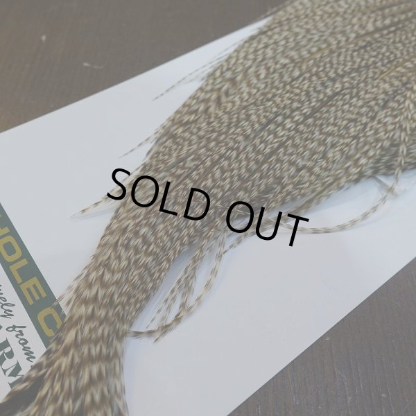 画像5: 【WHITING】Hebert ROOSTER CAPE Bronze Grade - DUN GRIZZLY No.1 (5)