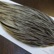 画像4: 【WHITING】Hebert ROOSTER CAPE Bronze Grade - Unique variant No.1 (4)