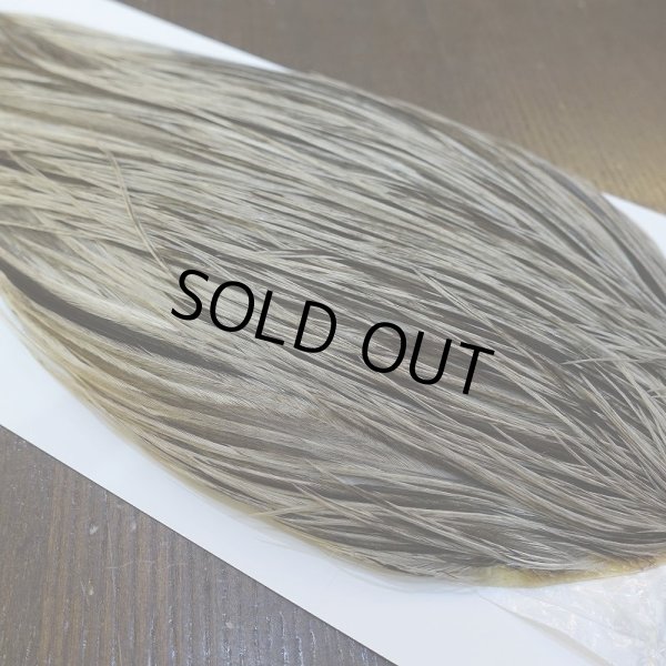 画像4: 【WHITING】Hebert ROOSTER CAPE Bronze Grade - Unique variant No.1 (4)