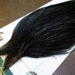 画像3: 【WHITING】Hebert Bronze Grade Cape NA Black No.1 (3)