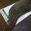 画像5: 【WHITING】Hebert ROOSTER CAPE Bronze Grade - Grizzly variant No.4 (5)