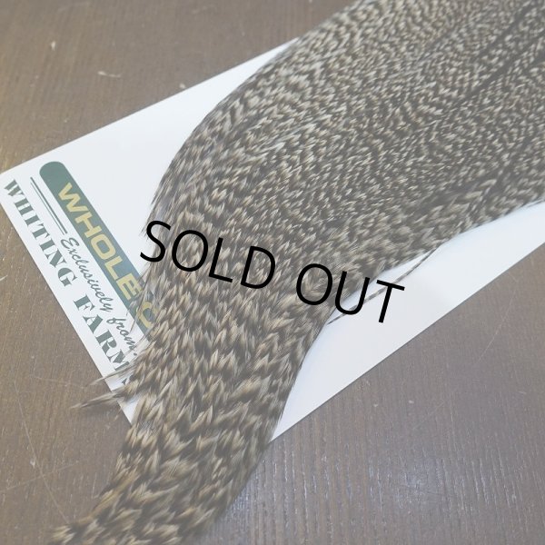 画像5: 【WHITING】Hebert ROOSTER CAPE Bronze Grade - Grizzly variant No.4 (5)