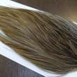 画像4: 【WHITING】Hebert ROOSTER CAPE Bronze Grade - BROWN GREY DUN No.1 (4)