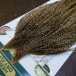 画像3: 【WHITING】Hebert ROOSTER CAPE Bronze Grade - DUN GRIZZLY No.3 (3)