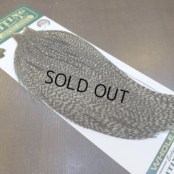 画像2: 【WHITING】Hebert ROOSTER CAPE Bronze Grade - Grizzly variant No.4 (2)