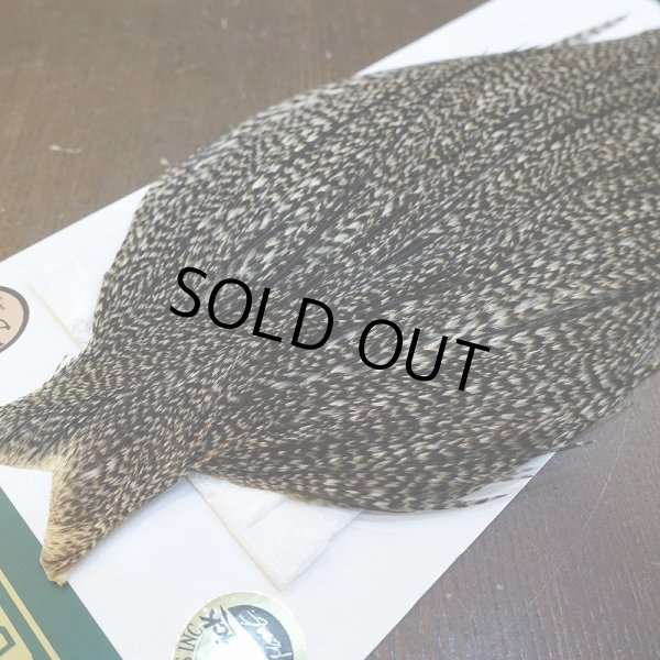 画像3: 【WHITING】Hebert ROOSTER CAPE Bronze Grade - Grizzly variant No.2 (3)