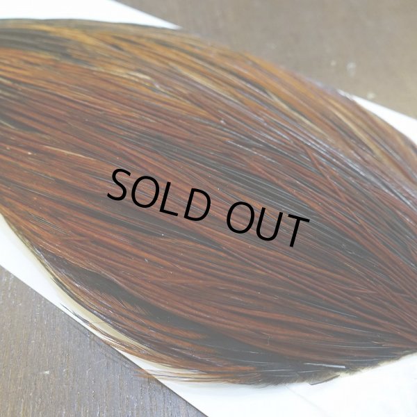 画像4: 【WHITING】Hebert ROOSTER CAPE Bronze grade - Furnace No.3 (4)