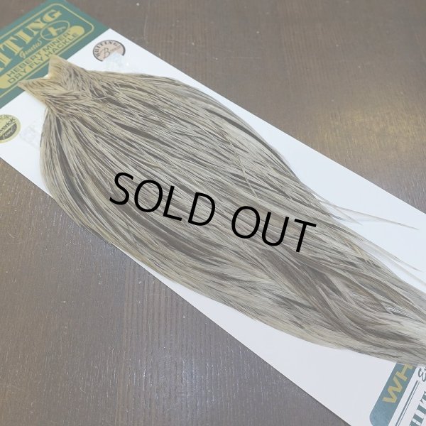 画像2: 【WHITING】Hebert ROOSTER CAPE Bronze Grade - Unique variant No.1 (2)