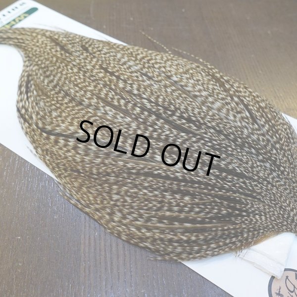 画像4: 【WHITING】Hebert ROOSTER CAPE Bronze Grade - DUN GRIZZLY No.2 (4)