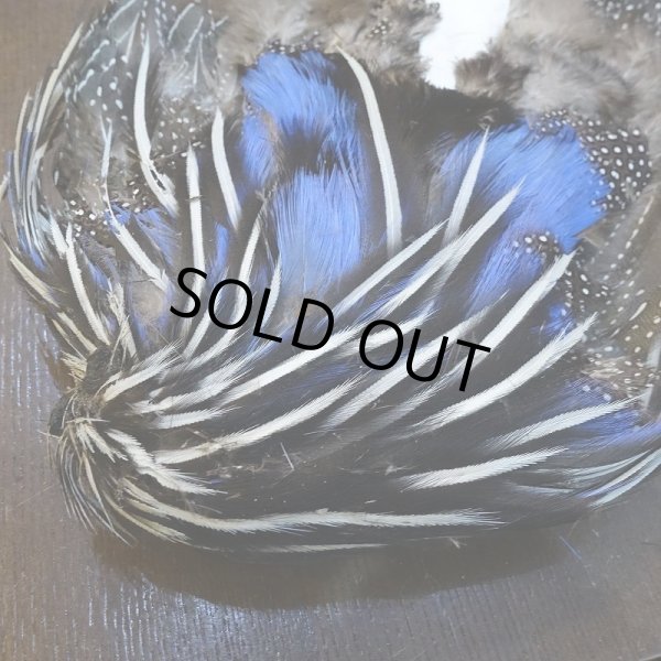 画像3: 【CANAL】VULTURINE GUINEA ボディ No.1 (3)