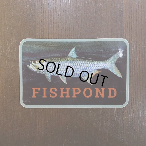画像1: 【Fishpond】Silver King Sticker 5.5" (1)