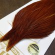 画像4: 【Whiting】HERITAGE ROOSTER CAPE #1 Grade No.3 (4)