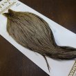 画像3: 【Whiting】HERITAGE ROOSTER CAPE PRO GRADE No.10 (3)