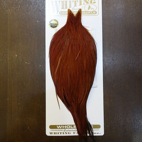 画像1: 【Whiting】HERITAGE ROOSTER CAPE #1 Grade No.3 (1)