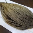 画像5: 【Whiting】HERITAGE ROOSTER CAPE PRO GRADE No.10 (5)