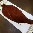 画像3: 【Whiting】HERITAGE ROOSTER CAPE #1 Grade No.3 (3)