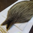 画像4: 【Whiting】HERITAGE ROOSTER CAPE PRO GRADE No.10 (4)