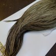 画像6: 【Whiting】HERITAGE ROOSTER CAPE PRO GRADE No.10 (6)