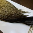 画像2: 【Whiting】HERITAGE ROOSTER CAPE PRO GRADE No.12 (2)