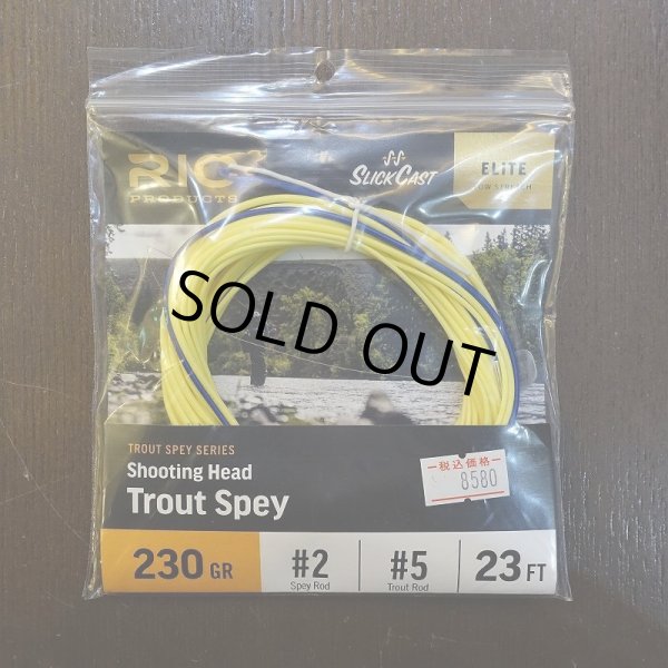 画像1: 【RIO】ELITE TROUT SPEY SHOOTING HEAD (1)