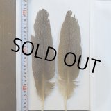 クイル - DOLLYVARDEN FLY FISHING SHOP