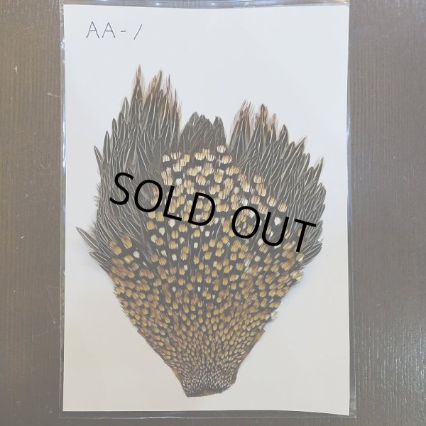 画像1: ジャングルコック AA-1 (1)