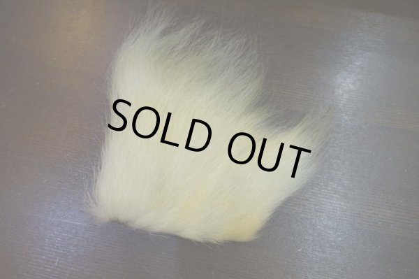 画像4: 【D】ポーラーベアー ナチュラル ラージカット 6 (4)