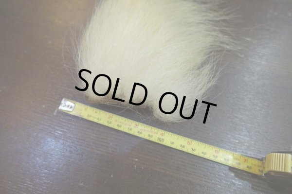 画像2: 【D】ポーラーベアー ナチュラル ラージカット 5 (2)