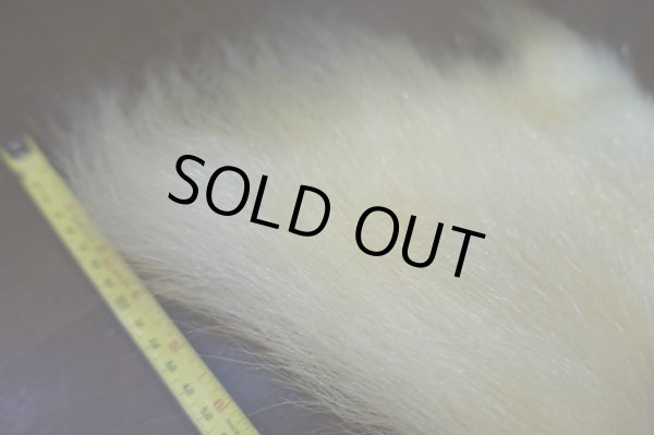 画像3: 【D】ポーラーベアー ナチュラル ラージカット 6 (3)