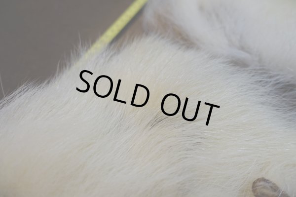 画像3: 【D】ポーラーベアー ナチュラル ラージカット 7 (3)