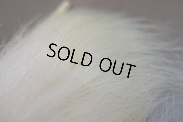 画像4: 【D】ポーラーベアー ナチュラル ラージカット 5 (4)