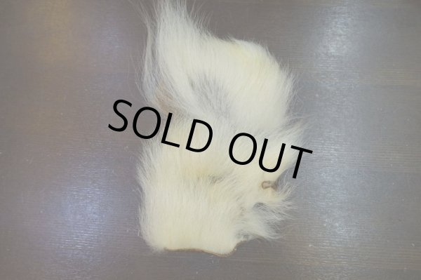 画像5: 【D】ポーラーベアー ナチュラル ラージカット 7 (5)