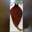 画像1: 【WHITING】Hebert ROOSTER CAPE Bronze Grade - Medium Brown No.1 (1)