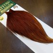 画像2: 【WHITING】Hebert ROOSTER CAPE Bronze Grade - Medium Brown No.1 (2)