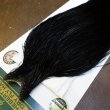 画像3: 【WHITING】Hebert Bronze Grade Cape DyedBlack No.2 (3)