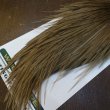 画像5: 【WHITING】Hebert Silver Grade Cape - BROWN GREY DUN (5)