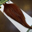 画像2: 【WHITING】Hebert ROOSTER CAPE Bronze Grade - Medium Brown No.2 (2)