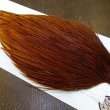 画像4: 【WHITING】Hebert ROOSTER CAPE Bronze Grade - Medium Brown No.1 (4)