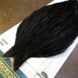 画像3: 【WHITING】Hebert ROOSTER CAPE PRO Grade - NA Black No.3 (3)