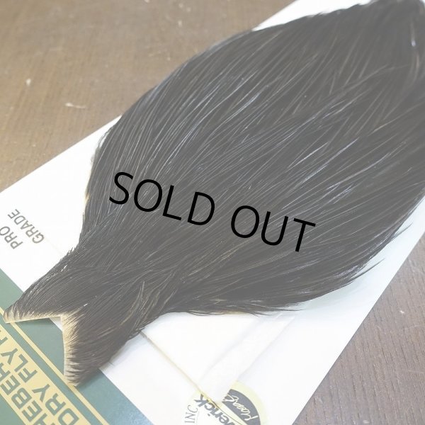 画像3: 【WHITING】Hebert ROOSTER CAPE PRO Grade - NA Black No.3 (3)