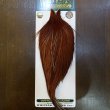 画像1: 【WHITING】Hebert ROOSTER CAPE Bronze Grade - Medium Brown No.2 (1)