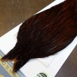 画像3: 【WHITING】High & Dry ROOSTER Cape - Dyed Coachman Brown No.2 (3)