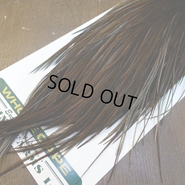 画像5: 【WHITING】Hebert Silver Grade Cape - DARK BROWN DUN No.2 (5)