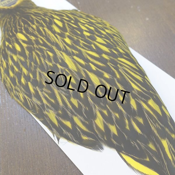 画像3: 【WHITING】American Hen Cape BLW/YELLOW (3)