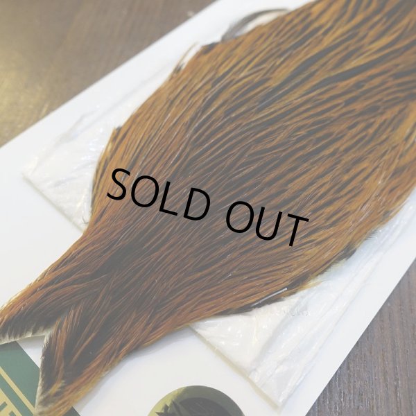 画像3: 【WHITING】Hebert Hen Cape - GREENWELL (3)